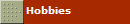 Hobbies